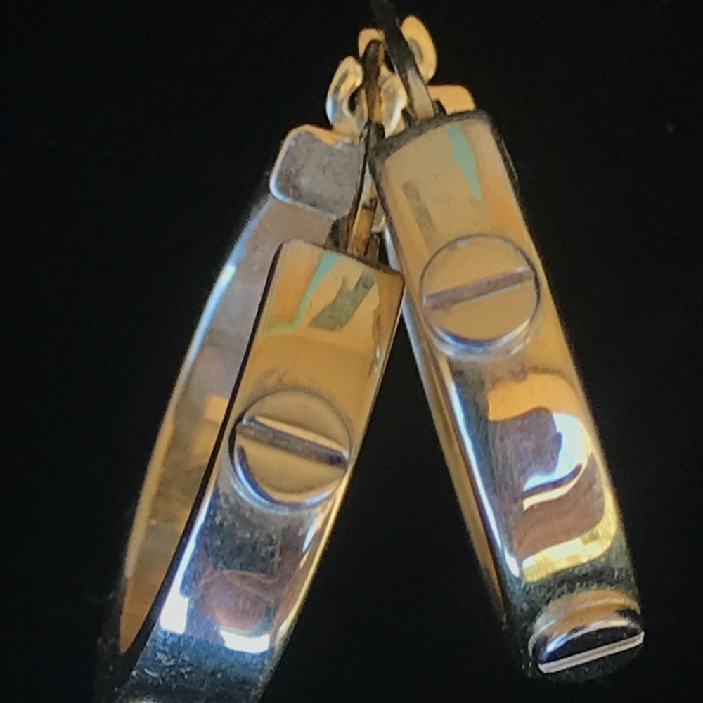 Gold plated earrings